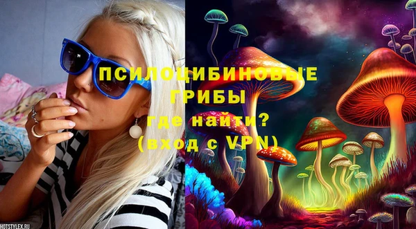 прущий лед Гусь-Хрустальный
