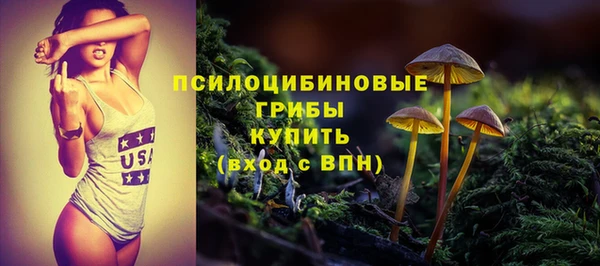 прущий лед Гусь-Хрустальный