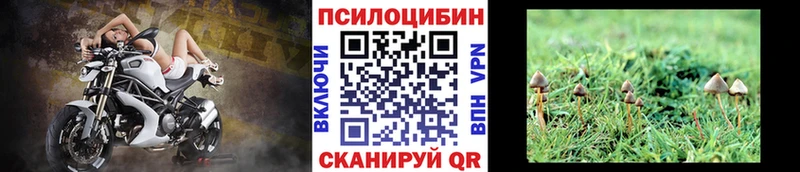 Галлюциногенные грибы GOLDEN TEACHER  Добрянка 