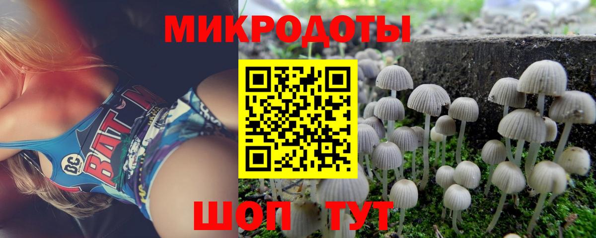 Добрянка  Галлюциногенные грибы MAGIC MUSHROOMS  Вход с VPN 