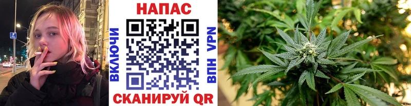 Конопля OG Kush  darknet официальный сайт  Добрянка 